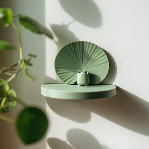 3D Printed Frog Wall Shelf | Lily Pad Floating Ledge