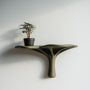 3D Printed Nature-Inspired Wall Shelf | Tree-Form Ledge
