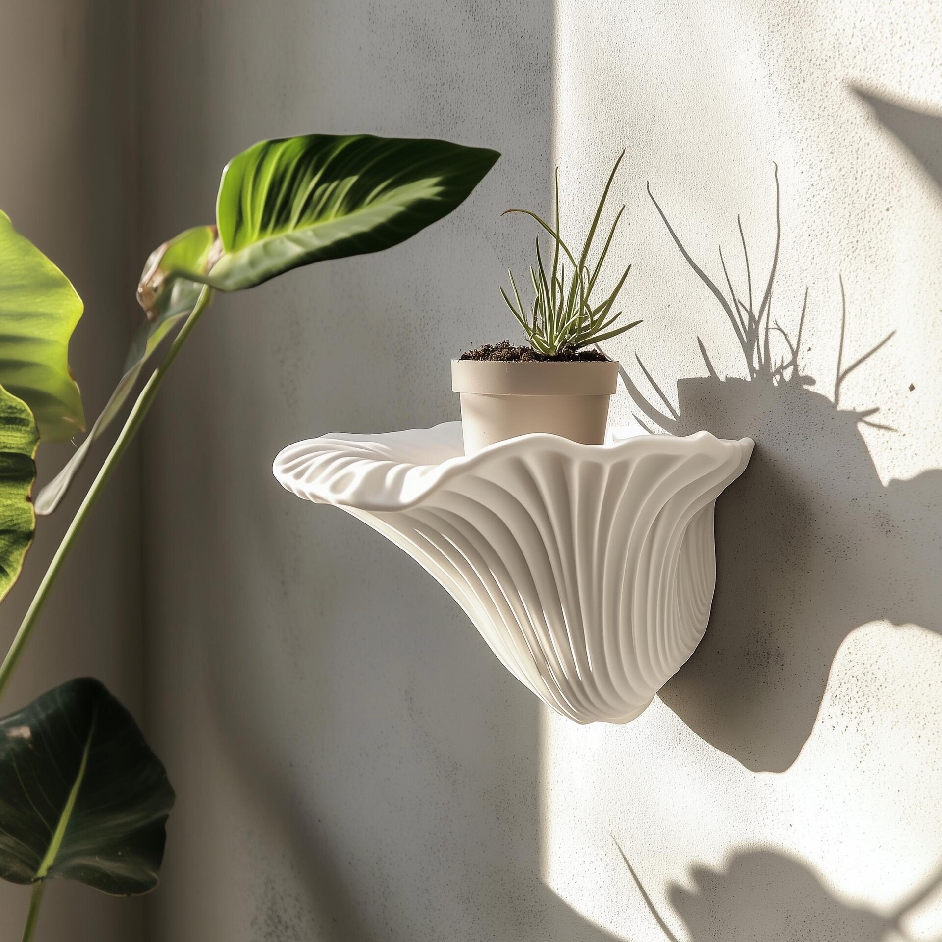 3D Printed Artist's Conk Floating Ledge | Keyhole Mount