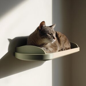 3D Printed Minimal Cat Wall Bed | Curved Floating Perch